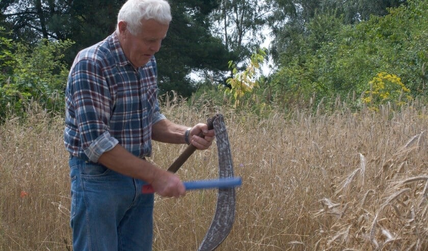 Koren werd vroeger geoogst met een zigt, schoof en opper. FOTO JAN NUIJTEN