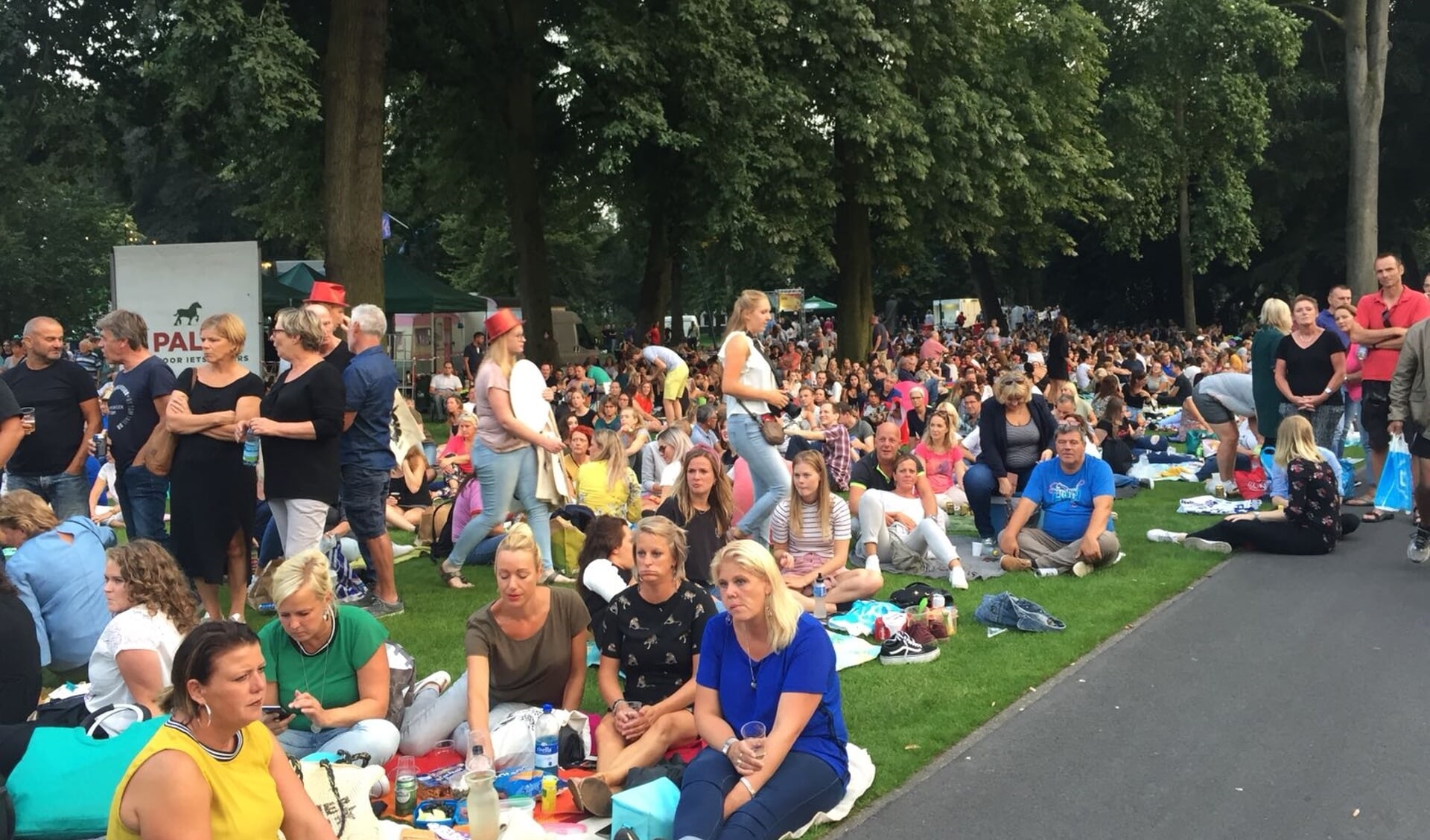 Een vol park tijdens de laatste editie van Palm Parkies in Breda voor dit jaar.