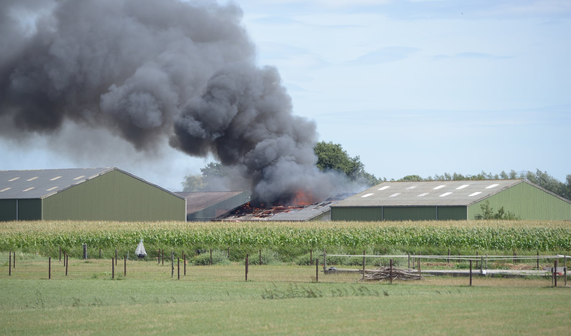 Er woedt een grote brand in een loods in Steenbergen.