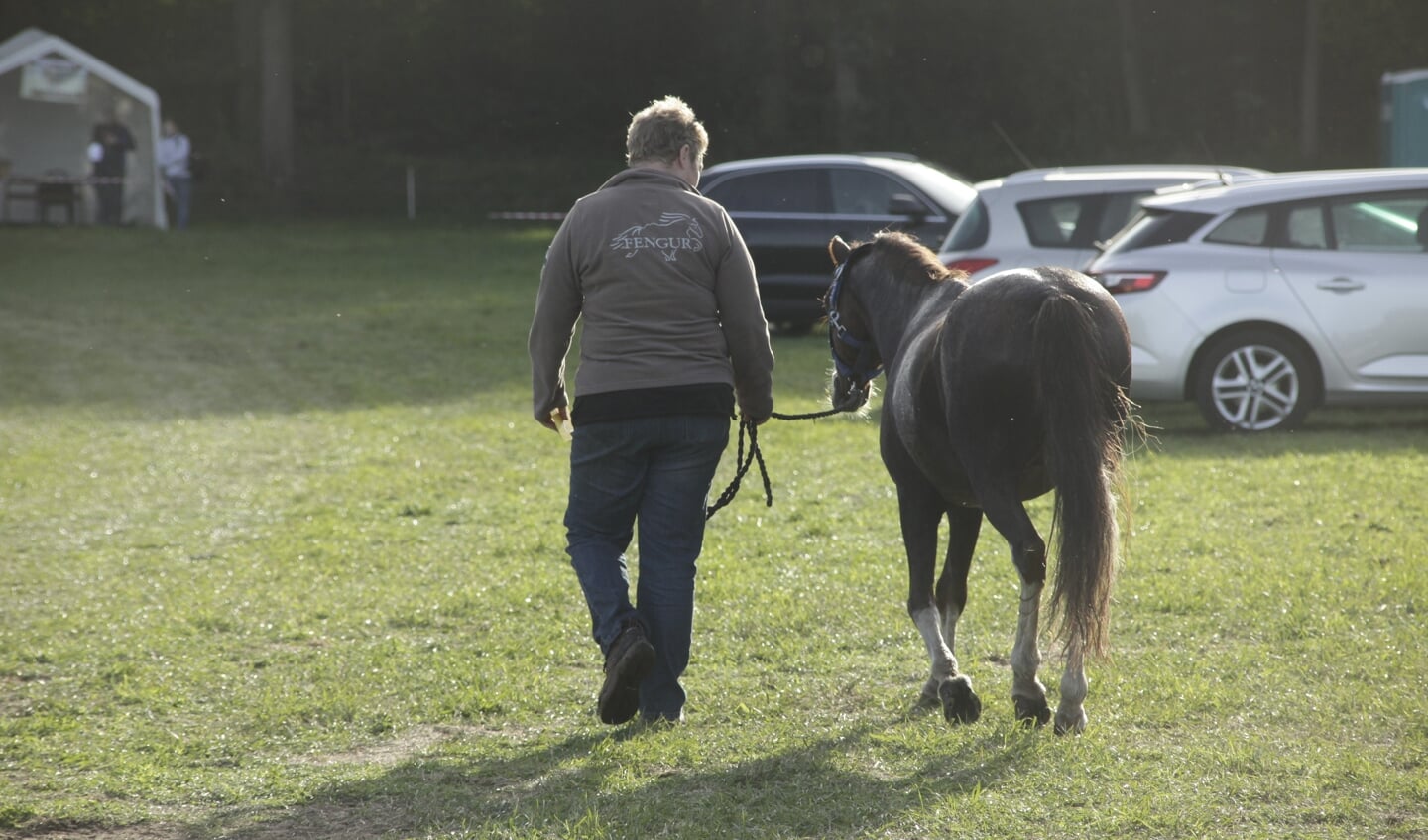 De paardendriedaagse in teken van het Manegepaarden pensioenfonds.