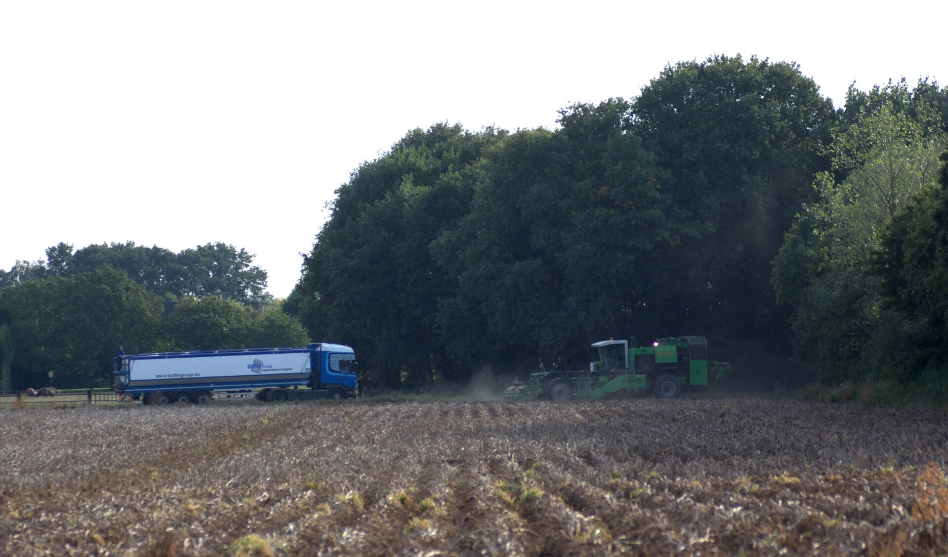 Een aardappelveld. (archieffoto)