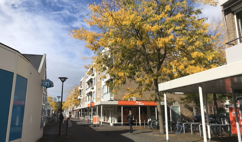 De herfstkleuren zijn op Brabantplein al goed te zien