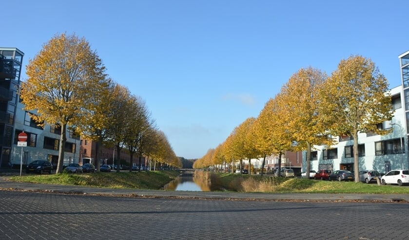 Prachtig weer voor een herfstwandeling. Zaterdag ook terrasjesweer.