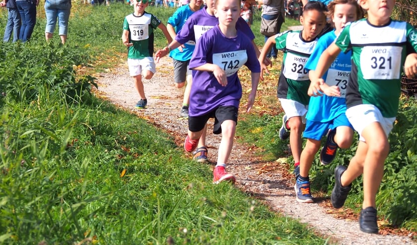Kinderen strijden om Bevelandse titels in Poelbosloop