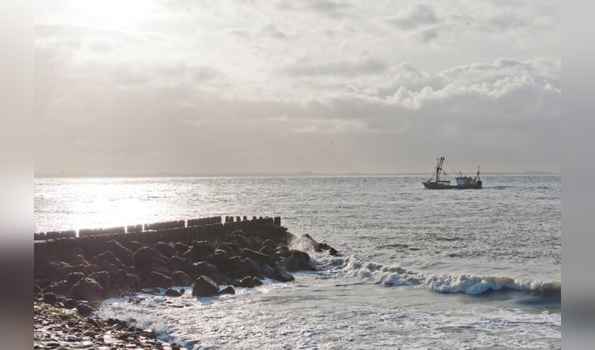 Vrijwilligers op Noord-Beveland op zoek naar blauw vispluis 