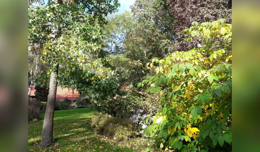 Herfst op De Hertgang. FOTO VAN DER HUCHT