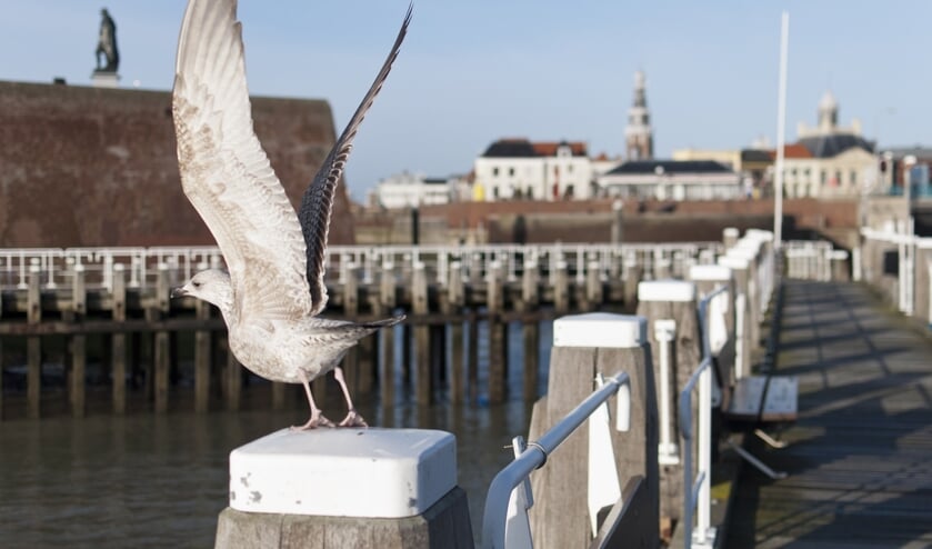 Vijf partijen presenteren actieplan voor veiliger Vlissingen 