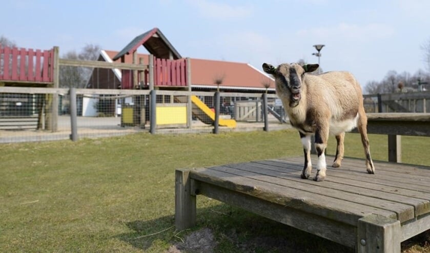 Kinderboerderij Parkhoeve