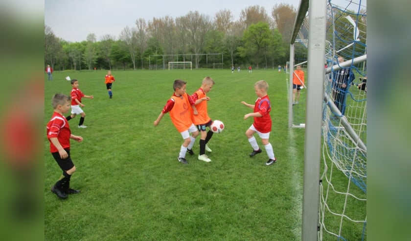 Buurtsportcoaches stimuleren jong en oud om te sporten.