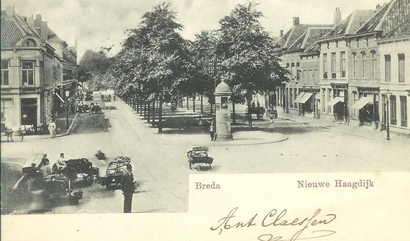 De Nieuwe Haagdijk.