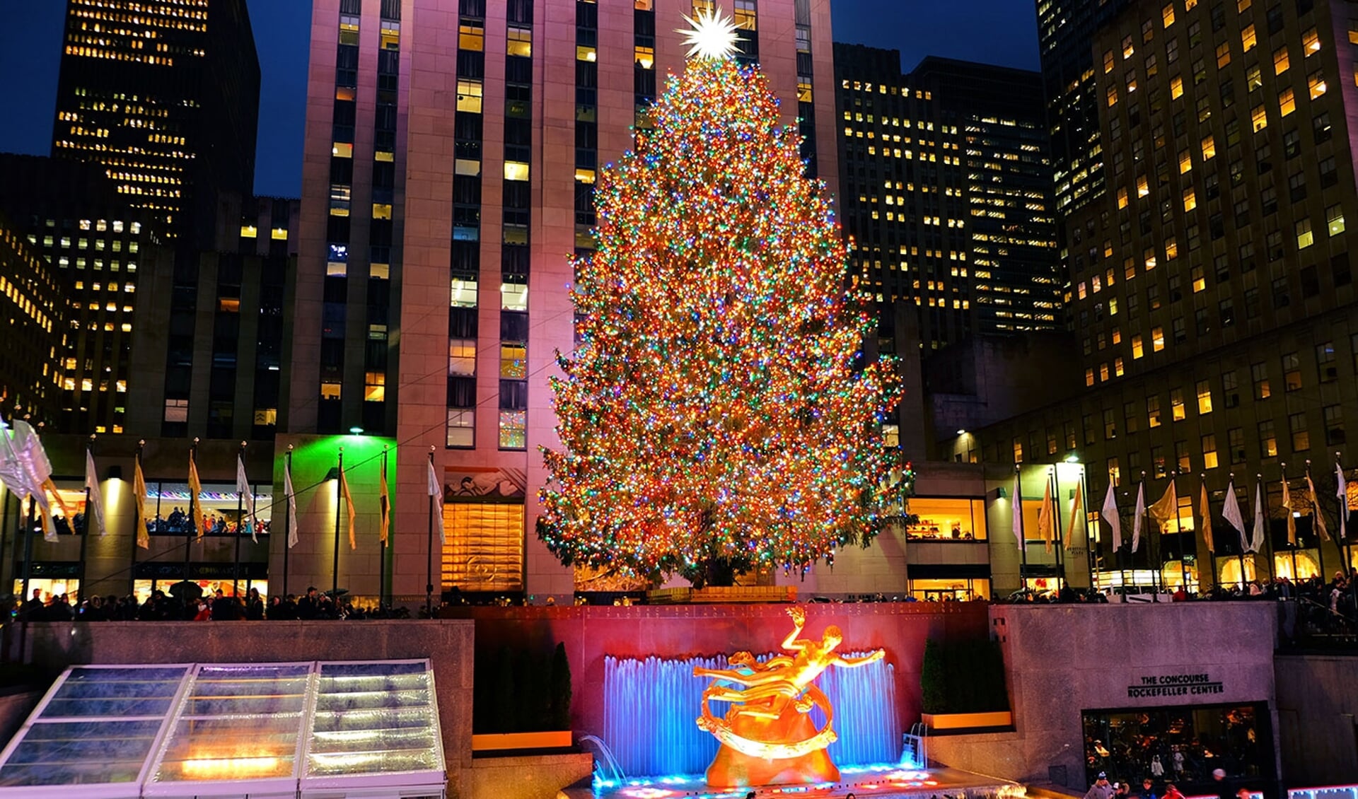 Kerstboom New York.