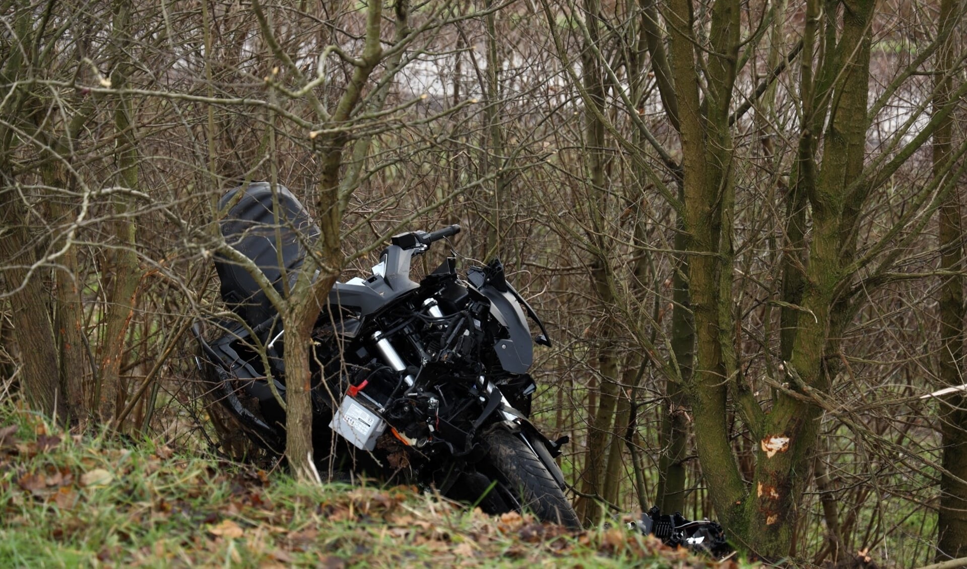De motor kwam door nog onbekende oorzaak in de bosschages langs de A58 terecht.