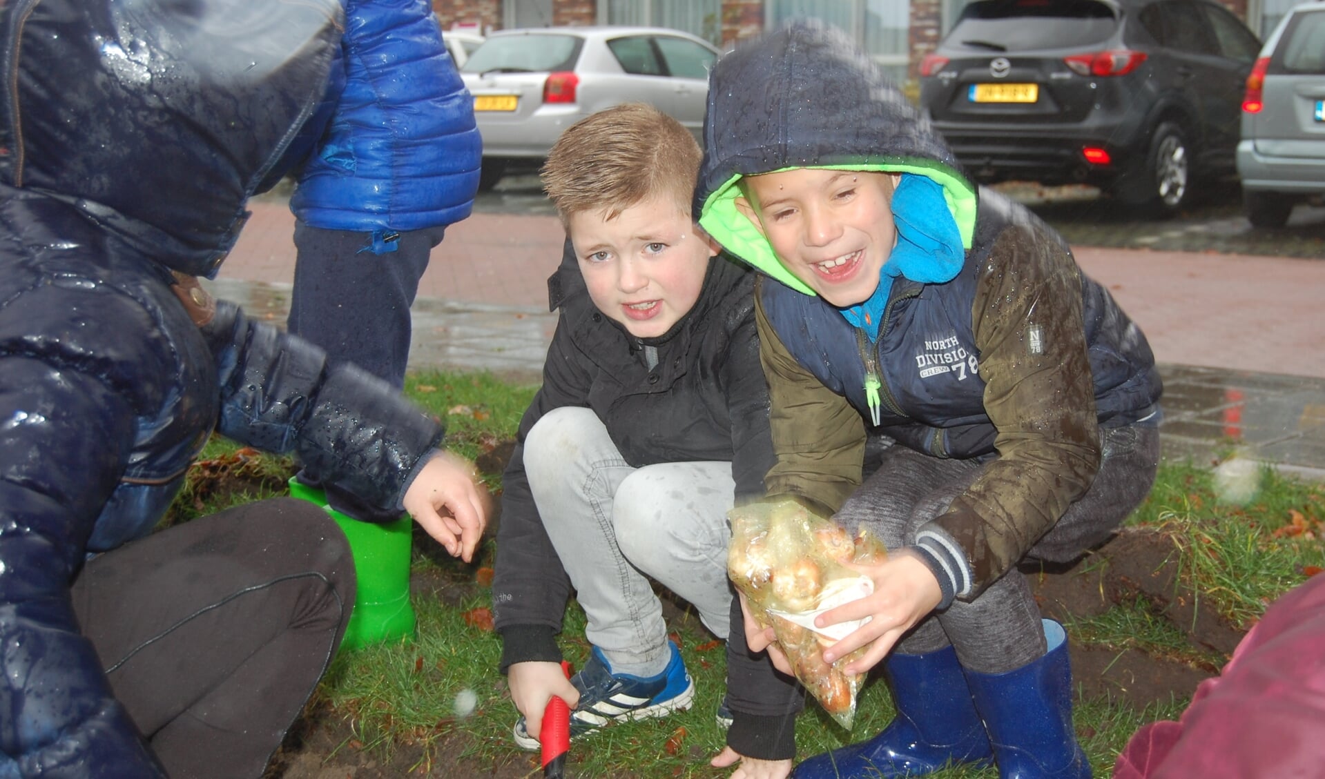 Kaj en Milan doen hun best met bollen planten in de regen.