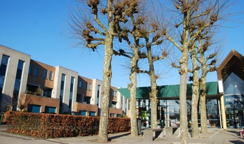 Het is al vroeg echt lente. De winterzon heeft plaats gemaakt voor de lentezon.