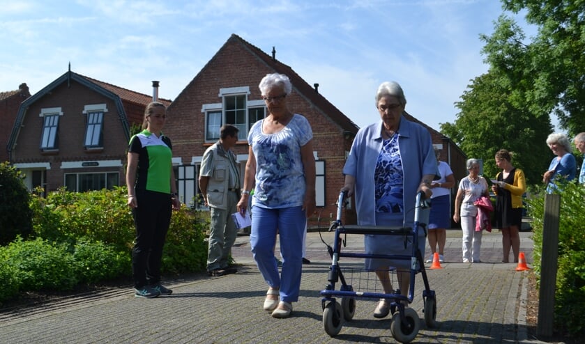 In Stavenisse is het project Elke stap telt met succes afgerond