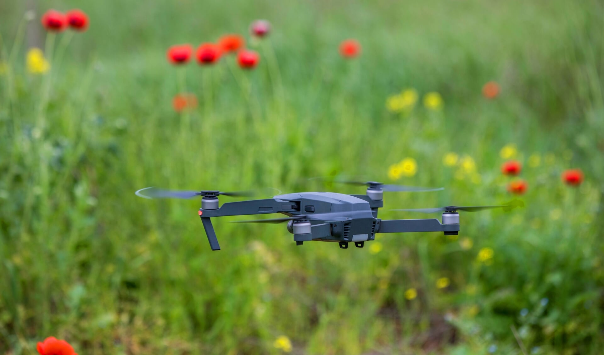 In het land worden wel pilots gehouden met drones, maar die richten zich niet op hennepkwekerijen