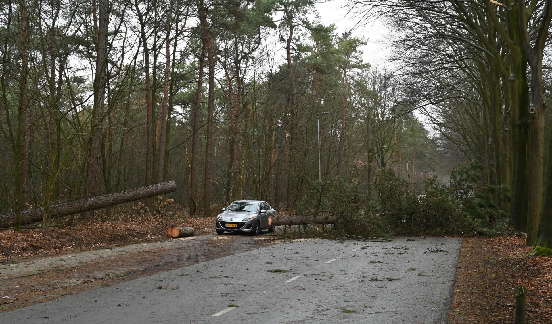 Omgevallen bomen op de Galderse Weg afgelopen zondagmiddag.