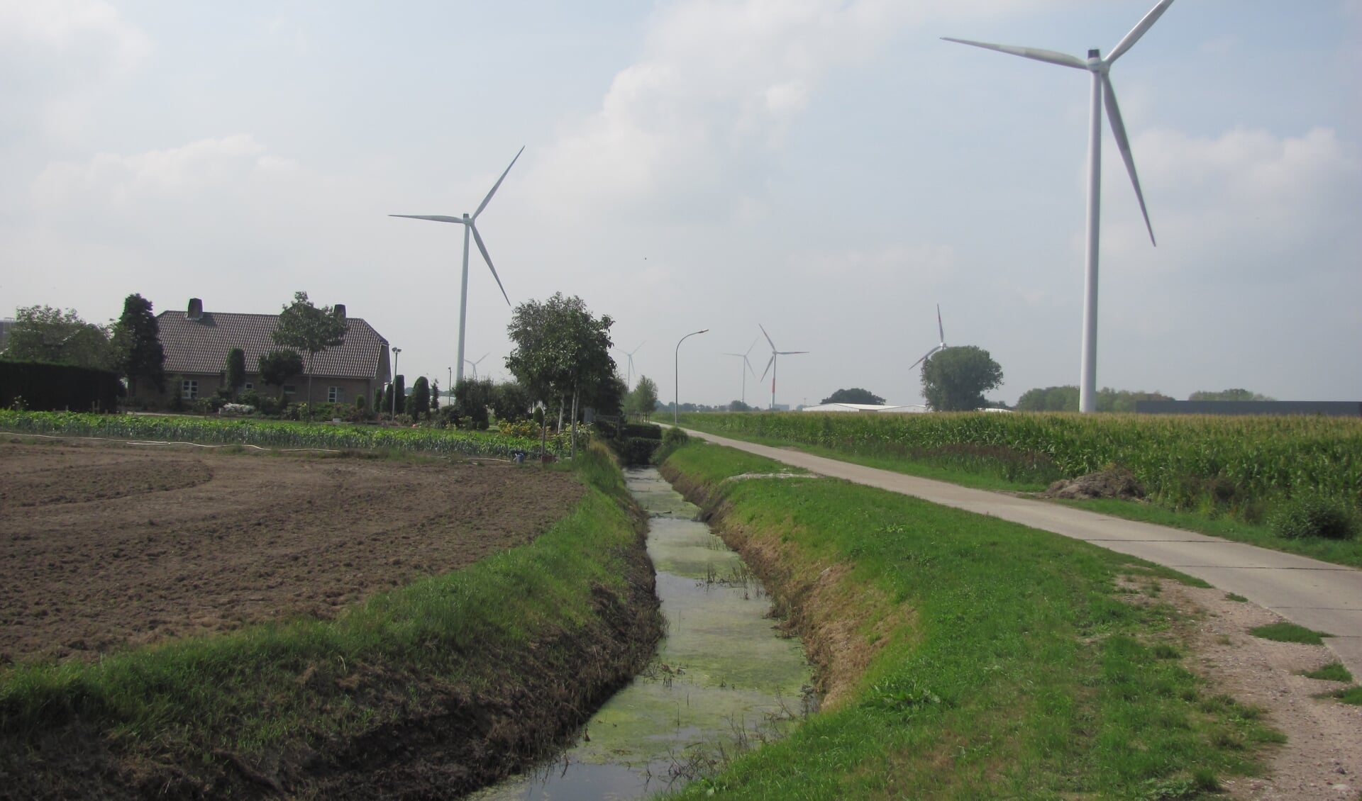 Duurzame energie vlakbij huis. Een kwart van de opbrengst van de windmolens in het A16-gebied komt ten goede aan de lokale gemeenschap. 