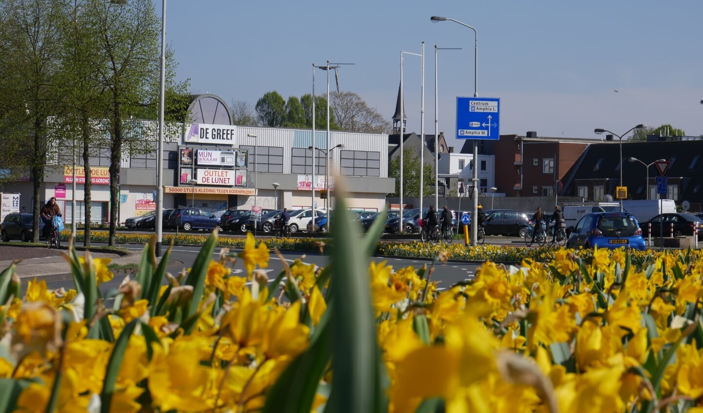Bloemen in de bermen in Breda, Lunetstraat.