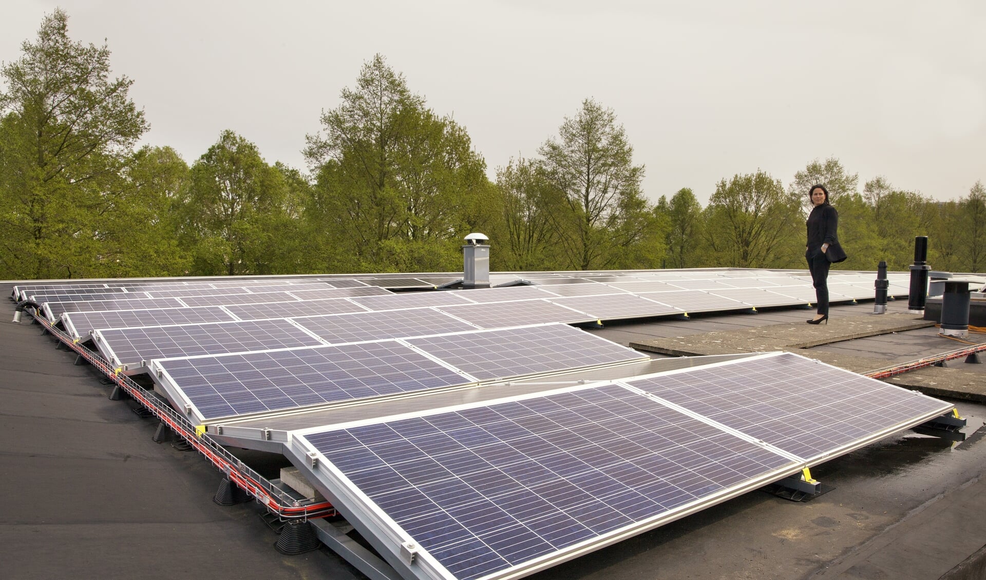 Meer dan 700 zonnepanelen op het dak van Zuylem.