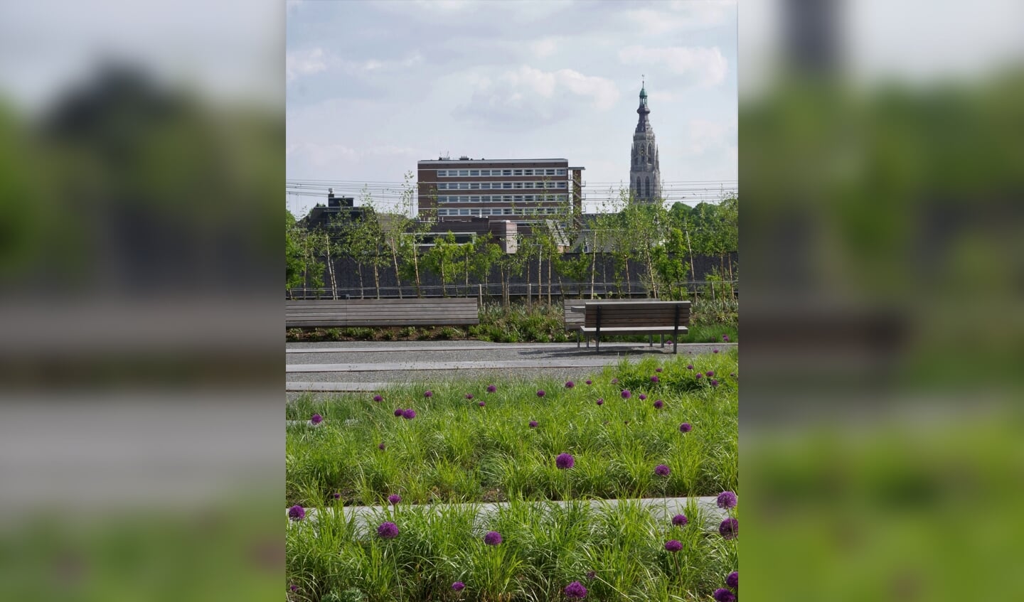 Tussen het spoor en het gerechtsgebouw ligt een nieuw park: het Spoorpark.