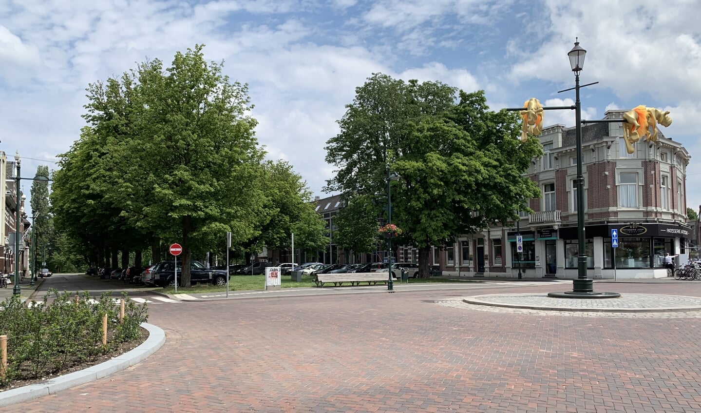 De twintig zieke kastanjes aan de Parkstraat worden gekapt en vervangen door 18 tulpenbomen.