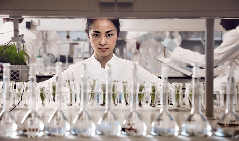 Wat is biobased en hoe kun je het zelf toepassen?