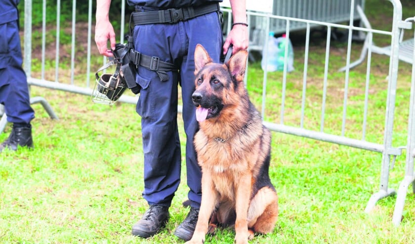 politiehond