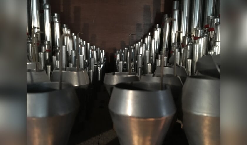 Orgel Sint Jacobskerk