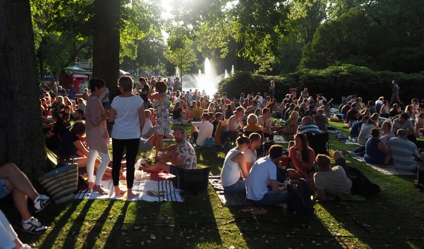 <p>Palm Parkies 2019</p>