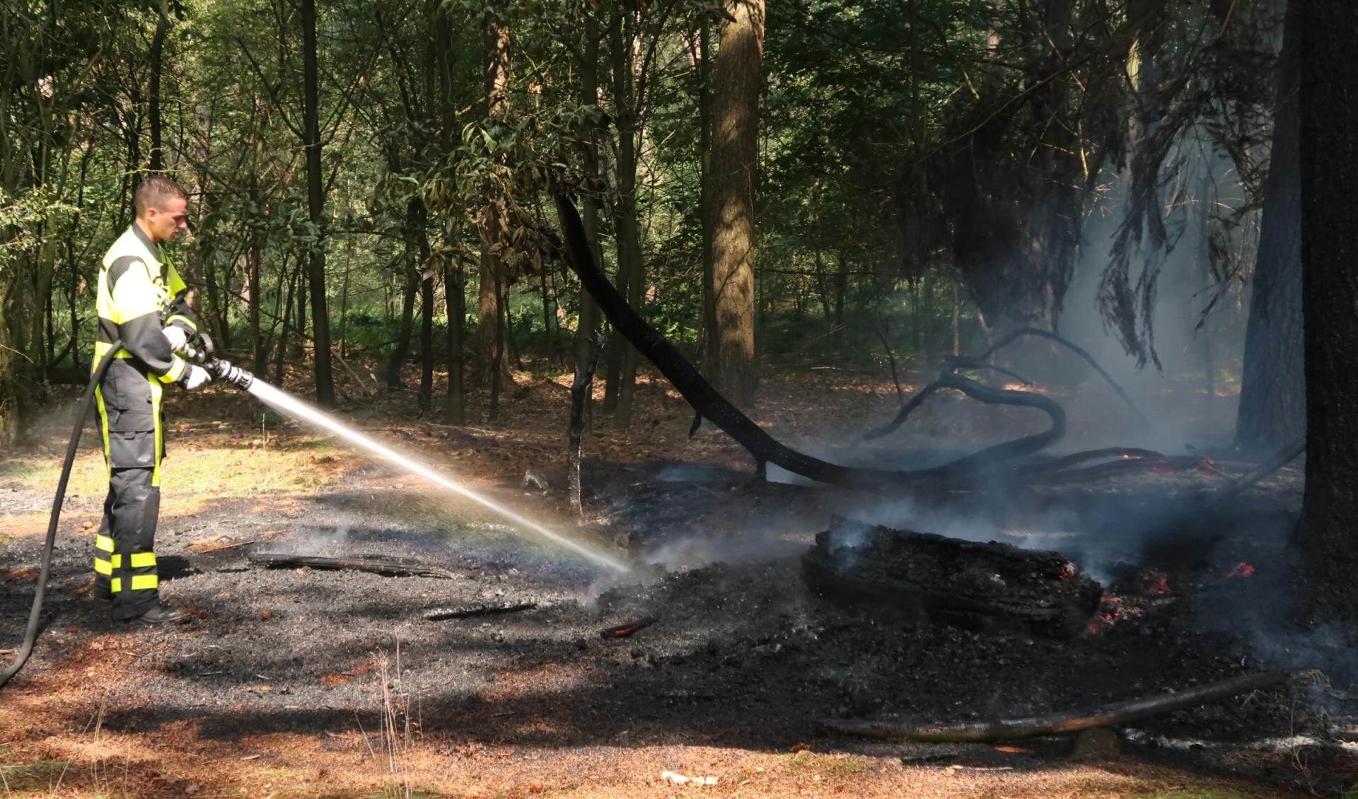 Een natuurbrand in het bos, foto ter illustratie