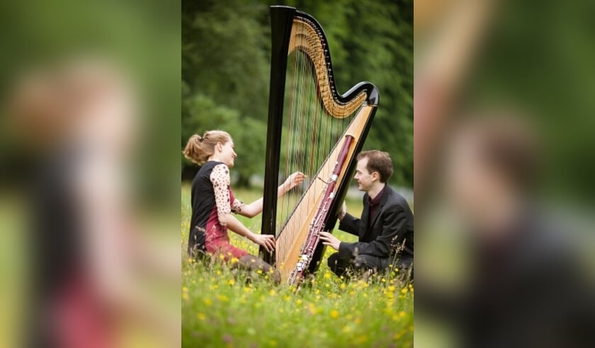 Harp&fagot-duo HarpSoon