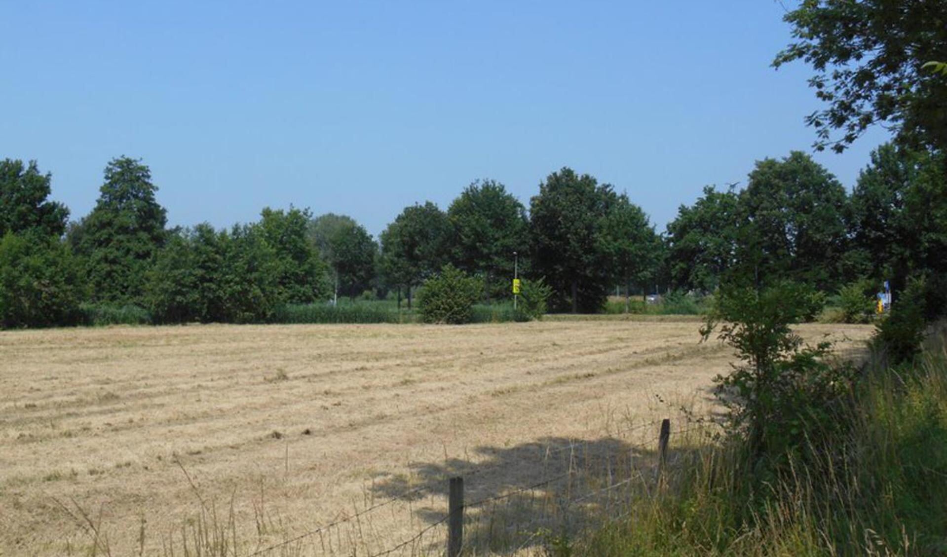 De natuur heeft dringend een bui regen nodig.