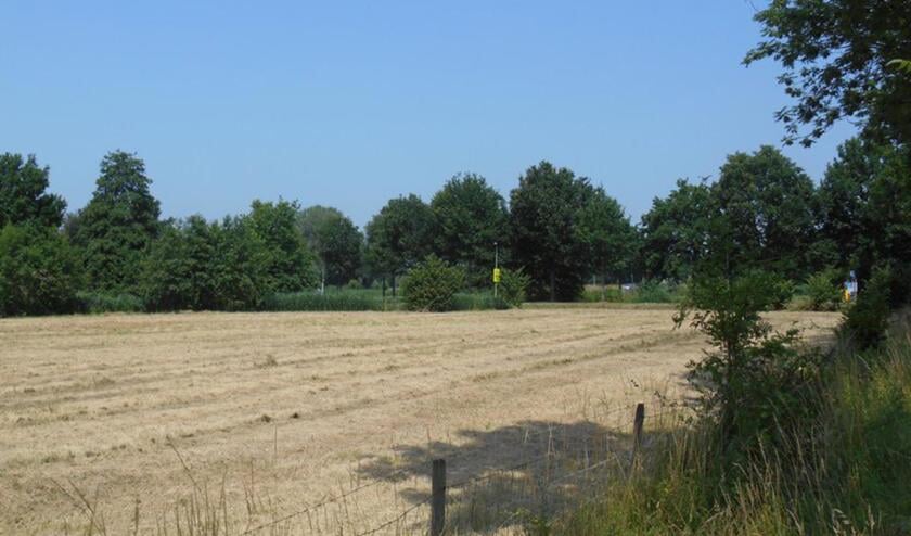 De natuur heeft dringend een bui regen nodig.