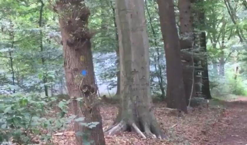 De bom werd zorgvuldig door de EOD tot ontploffing gebracht.