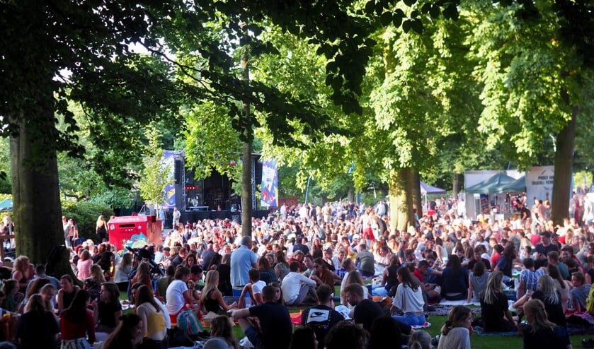 Een vol park tijdens de Handsome Poets op 30 juli.