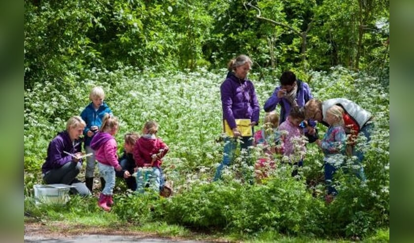 Wat brengt jeugd en natuur dichter bij elkaar?