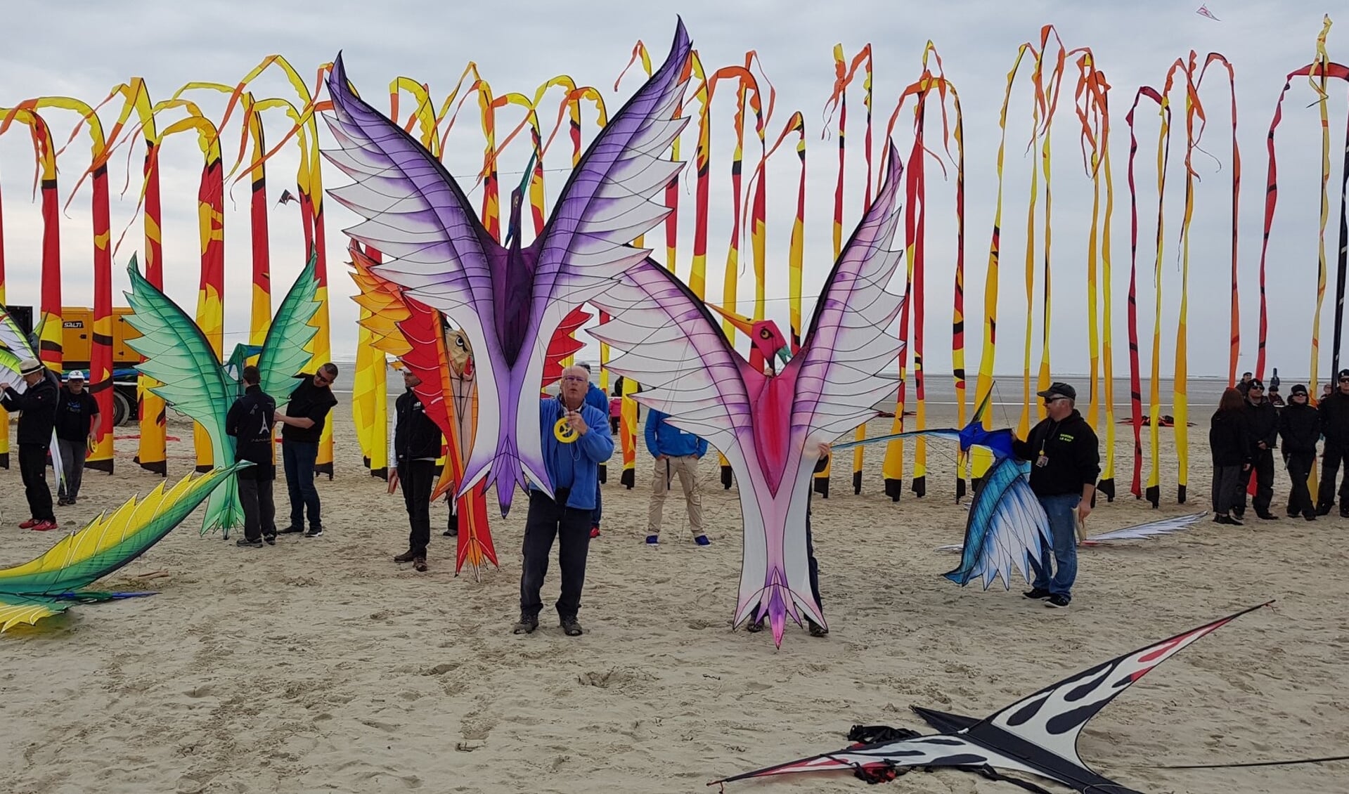 Nieuw dit jaar op de Rijsbergse Vliegerdagen: de Phoenix Kites.
