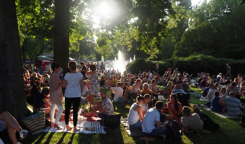 Palm Parkies 2019