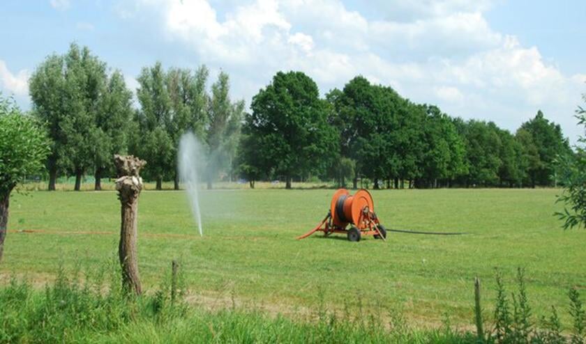 Bewateren tijdens de droogte