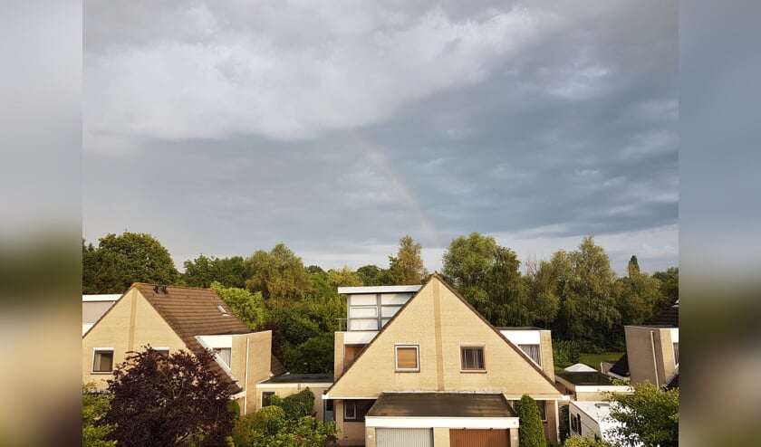 Komende dagen geregeld buien.