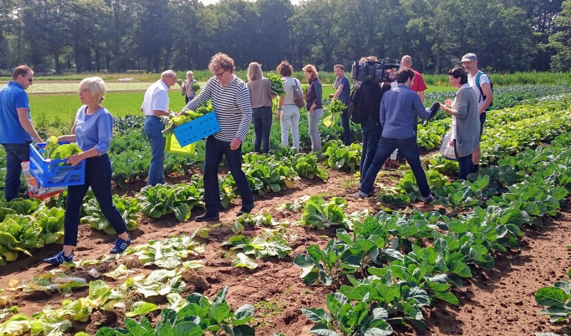 Deelnemers halen hun groenten op.