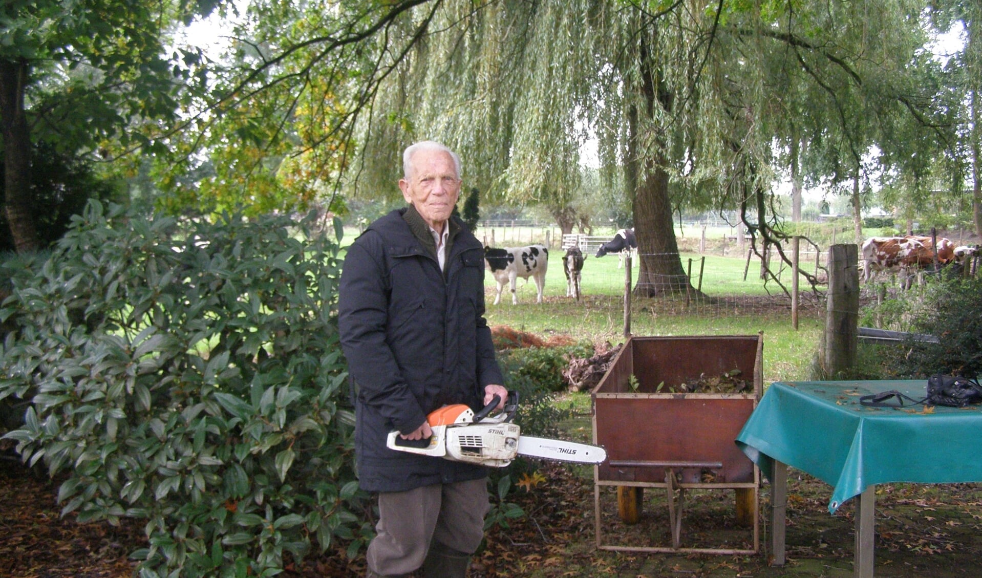 Eeuweling Henk Boudrez is vaak in zijn tuin te vinden met zijn kettingzaag. 