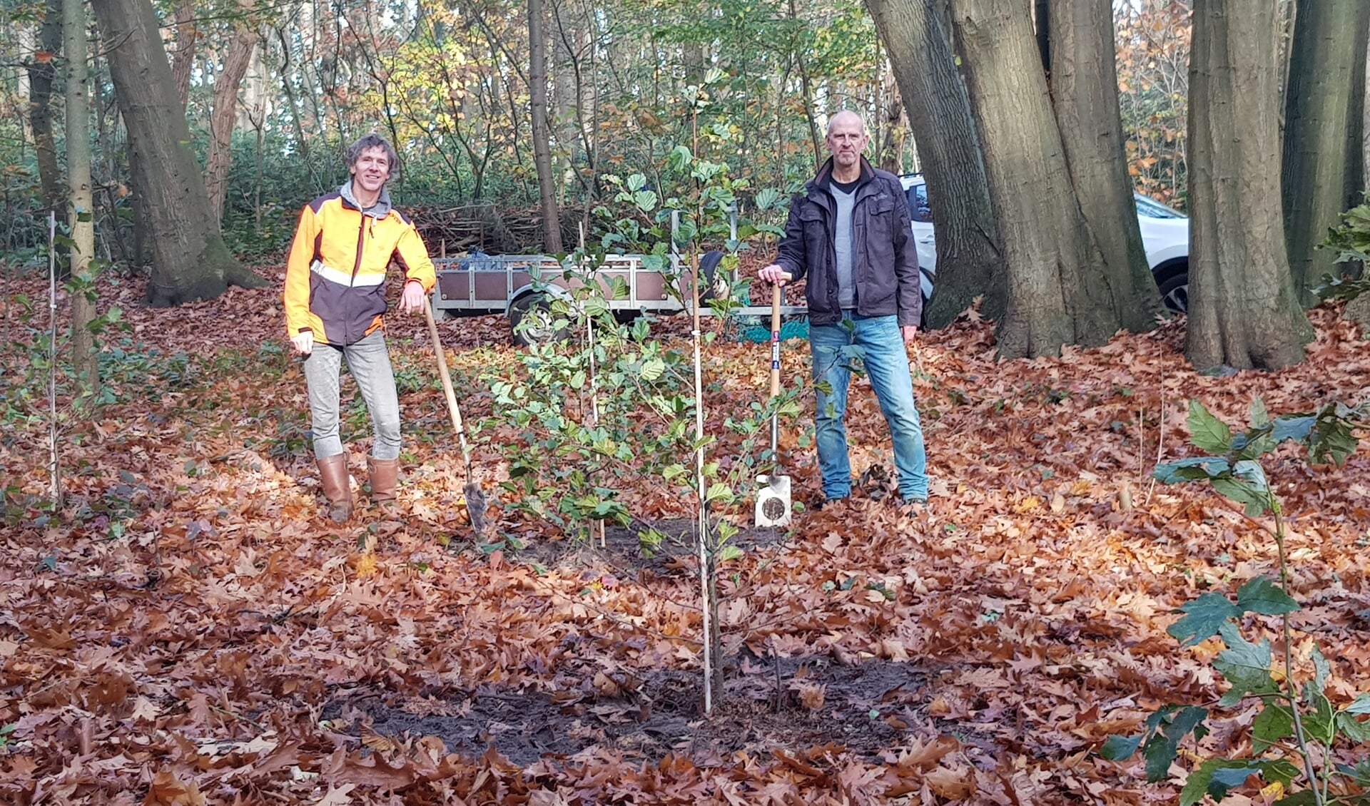 Bomen geplant door de Vrienden van het Pagnevaartbos.
