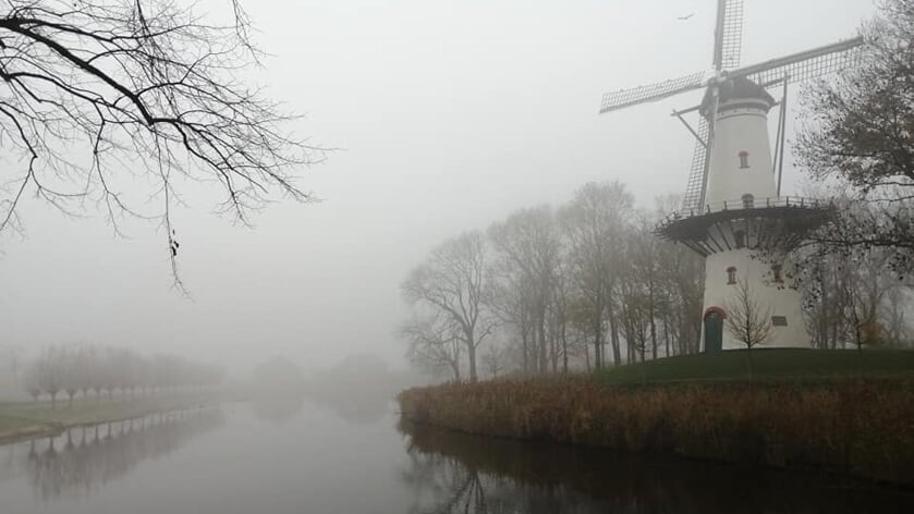 Drukte Op De Weg En Code Geel Vanwege Plaatselijk Dichte Mist - Oozo.nl