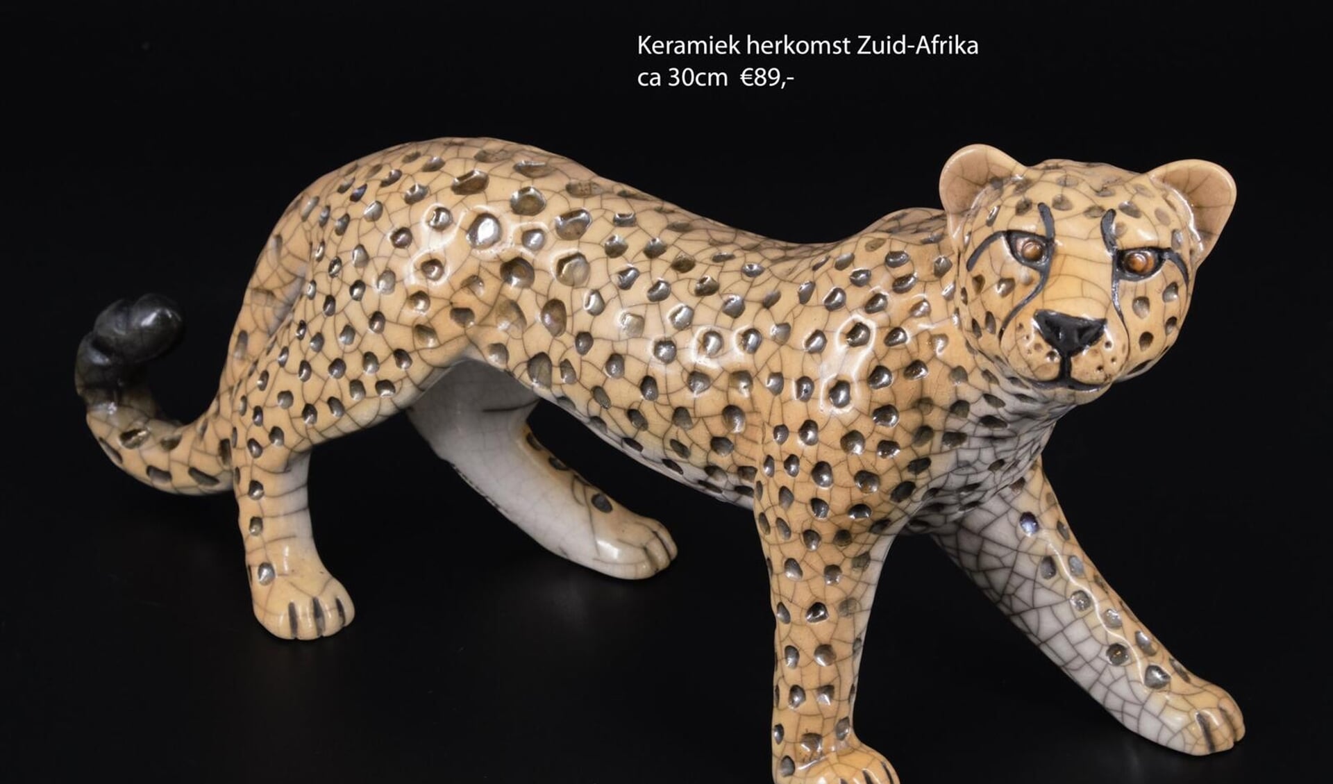 Wereldwinkel vraagt aan iedereen om uit te kijken naar deze cheeta.