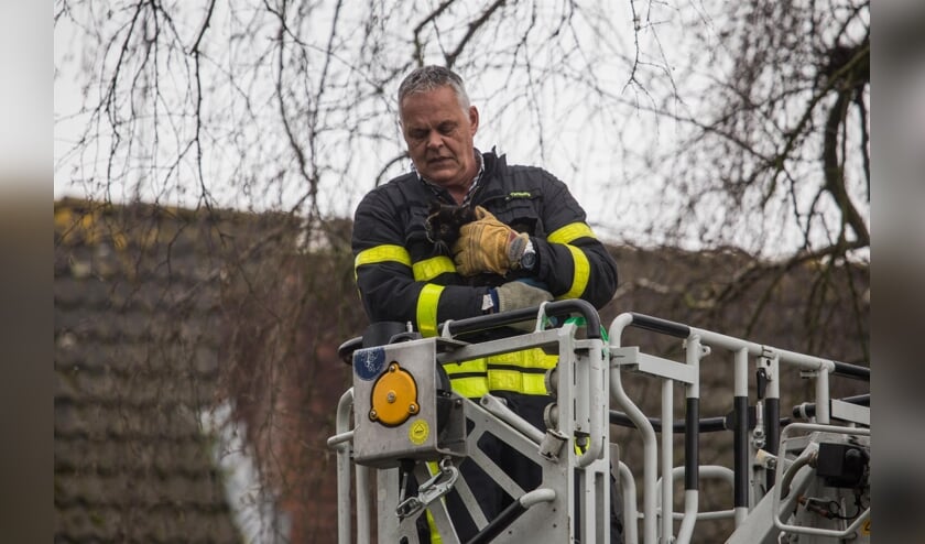 De brandweer wist de kitten te bevrijden.
