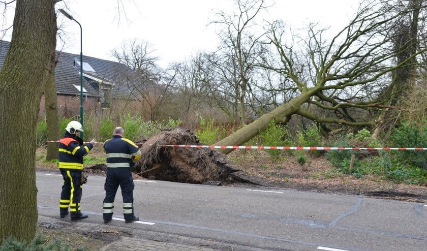 Eerdere stormschade, foto ter illustratie.