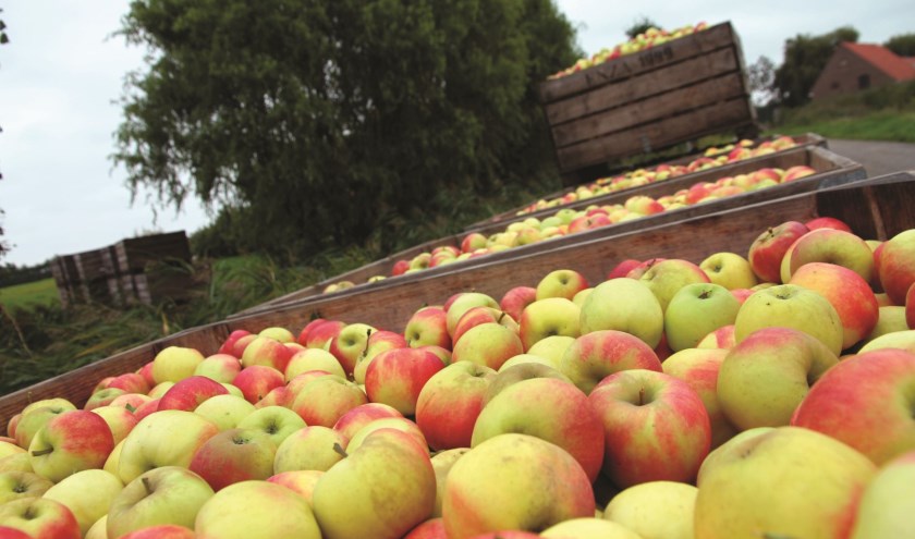 Politiek wil waterbassins op terreinen landbouwers en fruittelers
