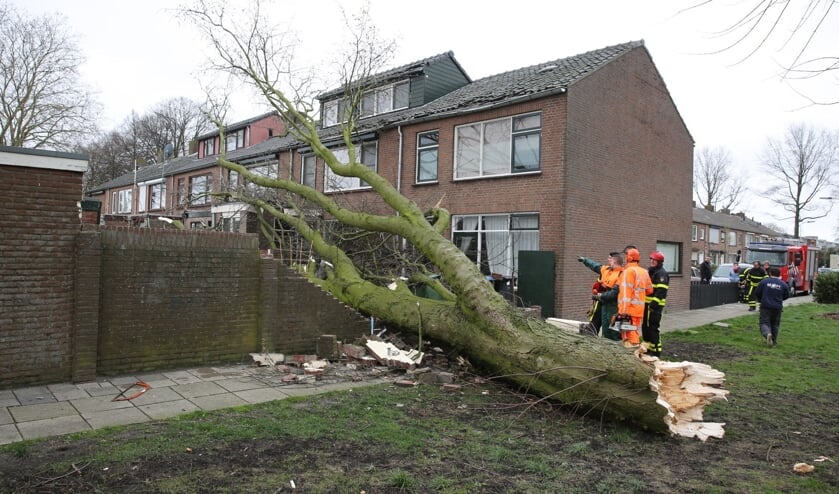 Eerdere stormschade, foto ter illustratie.